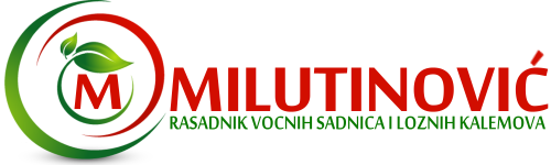 Dobrodošli na Voćne Sadnice, mesto gde možete pronaći kvalitetne sadnice voća direktno od proverenih rasadnika. U ponudi su sadnice jabuka, krušaka, šljiva, kajsija, trešanja, višanja, breskvi, oraha i leske, kao i mnoge druge sorte prilagođene klimatskim uslovima u Srbiji. Naša misija je da pomognemo svakom kupcu – bilo da imate voćnjak, poljoprivredno gazdinstvo ili želite samo nekoliko stabala u dvorištu – da pronađe zdrave, sertifikovane i rodne sadnice po pristupačnim cenama. Svi proizvodi dolaze sa detaljnim opisom sorte, preporukama za sadnju i negu, kao i fotografijama stvarnih plodova. Nudimo i savete za sadnju, prihranu i zaštitu voćaka, uz brzu isporuku na teritoriji cele Srbije. 👉 Poručite online i započnite svoj voćnjak uz proverene sadnice vrhunskog kvaliteta. Voćne sadnice – vaš prvi korak ka bogatom rodu! prodaja sarnice krusevac